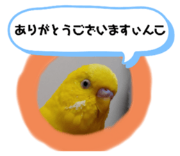 582367921