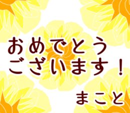58240505