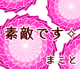 58240516
