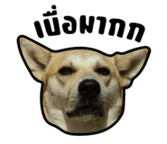 582410941