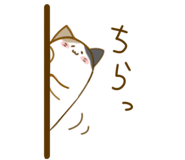 582442310