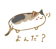 582442312