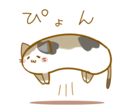 582442315