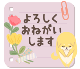 582444056