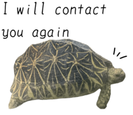 582468784