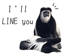 582468789