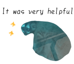 582468808