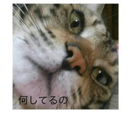 582551584