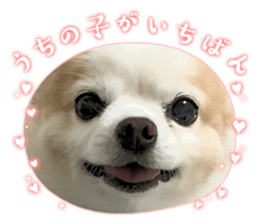 582553202