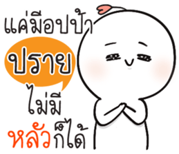 58255506