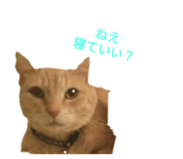 582571682