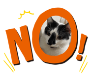 582588377