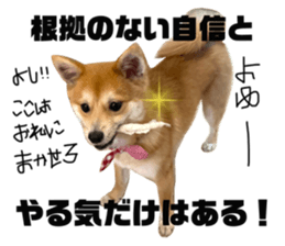 582606925