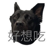 582639831