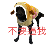 582639832