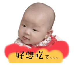 582639982
