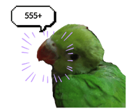 582664531