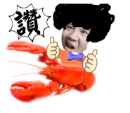 582667162