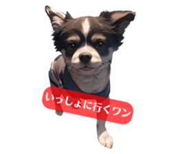 582667779