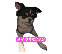 582667781