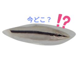 582685494
