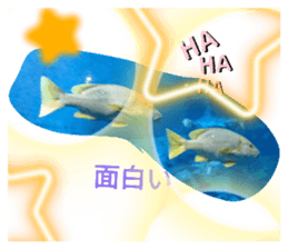582685501