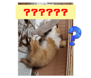 582697849