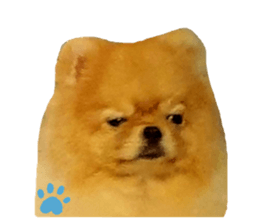 582733524