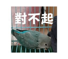 582743089
