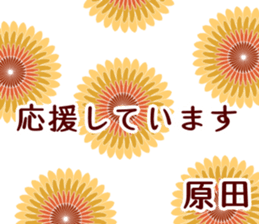 58279557