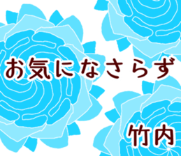 58286247