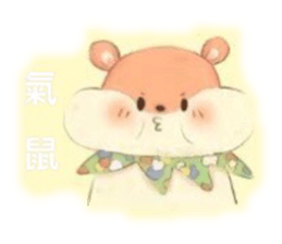 582872164