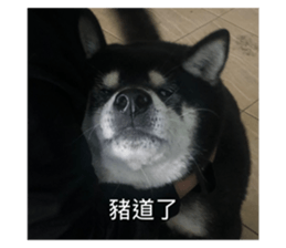 582875511