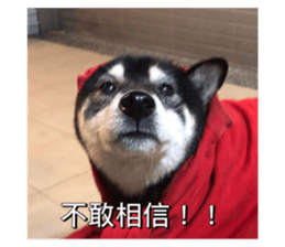 582875514