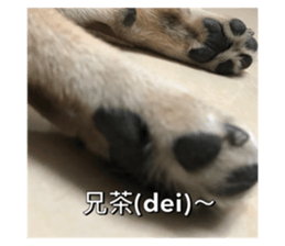 582875516