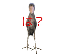 582886556