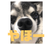 582931800
