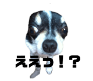 582931802