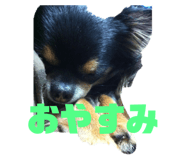 582931806