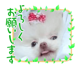 582937018