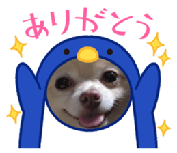 582937032