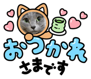 582949976
