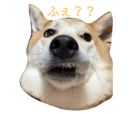 582959014