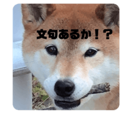 583034047