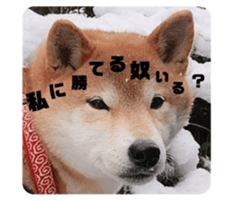 583034061