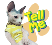 583035379