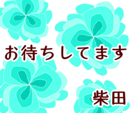 58308031
