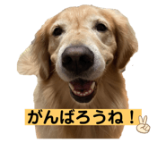 583112478