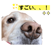 583112508