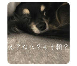 583113393